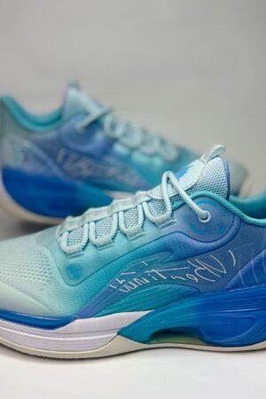 Ice ultra wade
