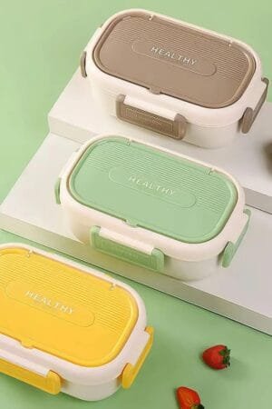 Partition lunch box